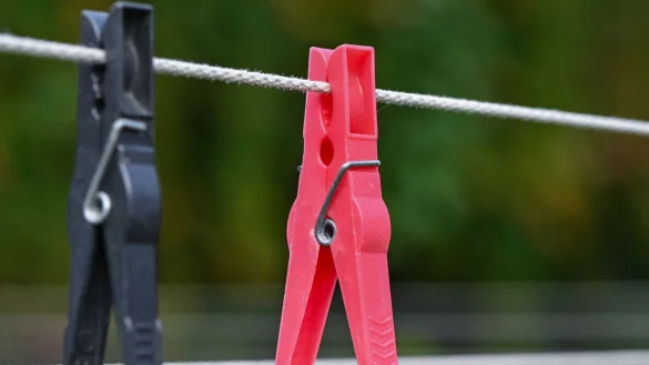 Die schwarz-rote Koalition hat schon im ersten Jahr etliche Zitterpartien hinter sich. (Symbolbild) - &copy; Patrick Pleul/dpa-Zentralbild/ZB