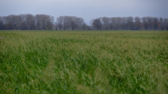 In den nächsten Tagen ist immer wieder Regen möglich. In der Nacht wird es bei Temperaturen knapp unter 0 Grad auch mal glatt. (Archivbild) - © Henning Kaiser/dpa