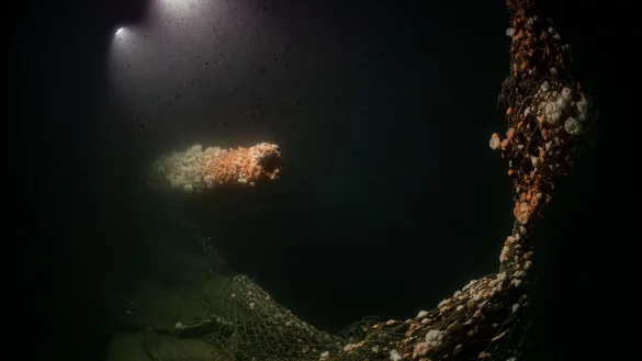 Die Tauchg&auml;nge fanden nach Angaben des Teams in gro&szlig;er Tiefe und unter herausfordernden Bedingungen statt. - &copy; Dr. Steffen G. Scholz/ProjectXplore /dpa