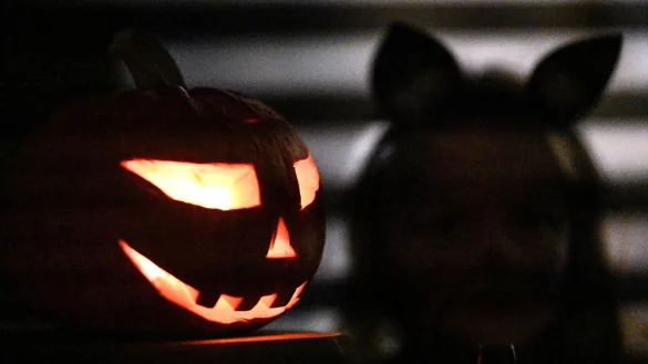 Halloween wird auch in Deutschland gefeiert. - &copy; Swen Pf&ouml;rtner/dpa