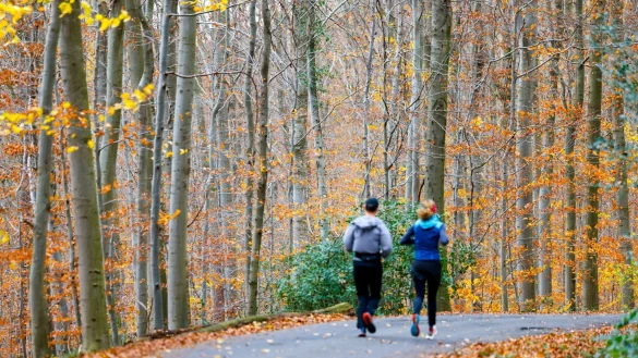Wenn sich der Nebel lichtet, wird es in vielen Teilen Deutschlands sonnig. - © Thomas Banneyer/dpa