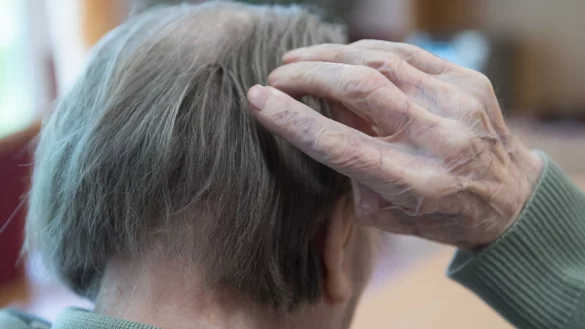 In Deutschland steigt die Zahl der Männer, die an Demenz sterben. (Symbolbild) - © Sebastian Kahnert/dpa-Zentralbild/dpa