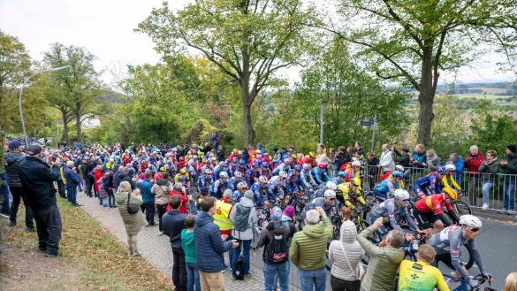 Das Hauptfeld rollt durchs Münsterland. - © David Inderlied/dpa