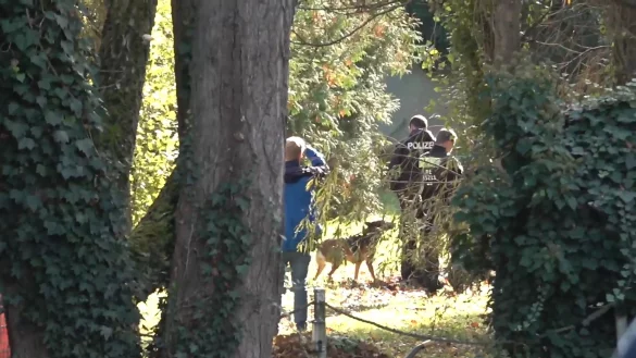 Spürhunde sind auf dem Gelände untwergs. - © Ivo Böhme/dpa