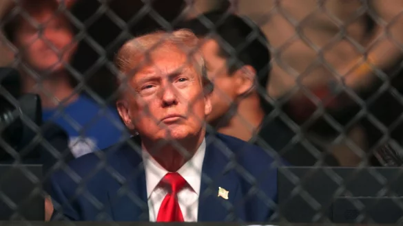 Trump gilt als Fan der Kampfsport-Liga UFC und sa&szlig; mehrfach selbst im Publikum. (Archivbild) - &copy; Steve Marcus/Las Vegas Sun via AP/dpa