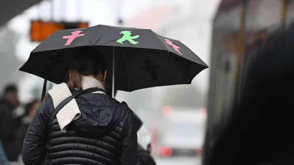 Berlin zog im laufenden Jahr bisher weniger Touristen an als im gleichen Zeitraum 2024. (Archivbild) - &copy; Lilli F&ouml;rter/dpa