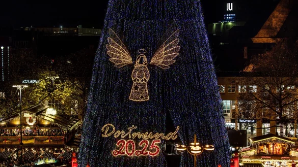140.000 LEDs sorgen für die Beleuchtung des riesigen Baums. - © Dieter Menne/dpa