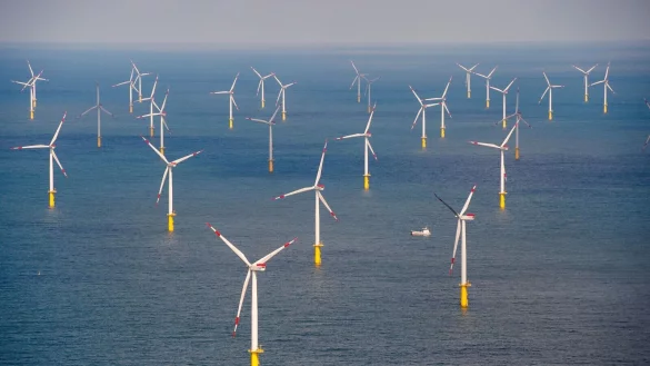 Laut den Richtern fehlt es an Erkenntnissen dazu, ob der Windpark den Lebensraum der Seetaucher beeinträchtigt. (Archivbild) - © Daniel Reinhardt/dpa