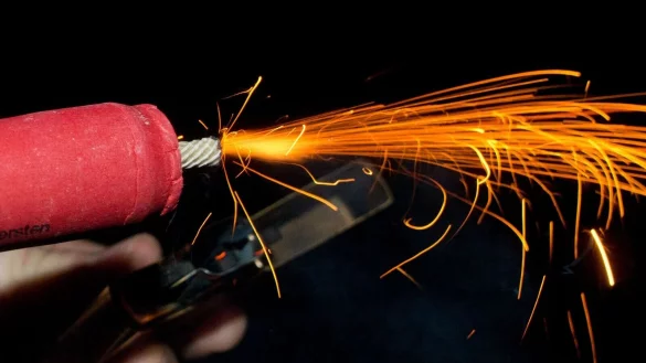 Genaue Zahlen dazu, wie viele Tiere in der Silvesternacht in panischer Flucht verletzt werden oder sterben, gibt es nicht. (Archivbild) - &copy; Patrick Pleul/dpa-Zentralbild/dpa