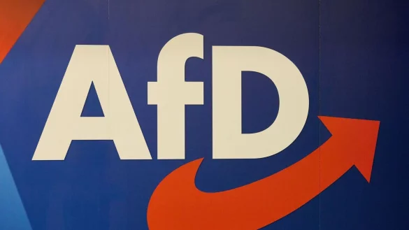 Sollten Unternehmerverbände sich Gesprächen mit der AfD öffnen? (Illustration) - © Georg Wendt/dpa