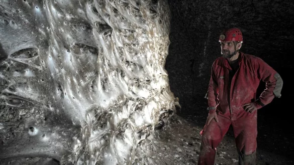 Ein Wissenschaftler vor dem riesigen Spinnennetz - &copy; Marek Audy/Urak et al. 2025, Subterranean Biology, CC BY 4.0/dpa