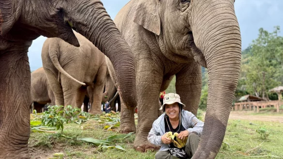 Saengduean &laquo;Lek&raquo; Chailert verbringt t&auml;glich viel Zeit mit ihren Elefanten. - &copy; Carola Frentzen/dpa