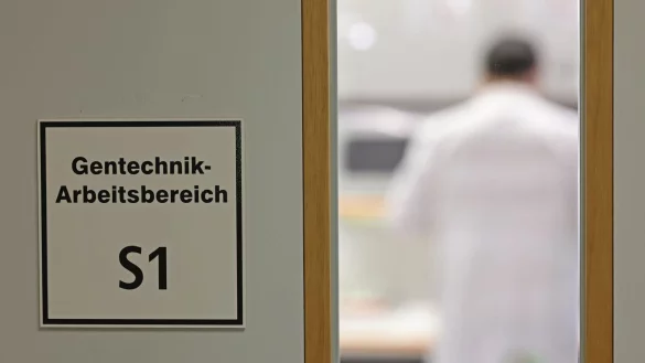 Bef&uuml;rworter erhoffen sich Obst- und Gem&uuml;sesorten, die ertragreicher, resistenter gegen den Klimawandel und n&auml;hrstoffreicher sind. - &copy; Matthias Bein/dpa