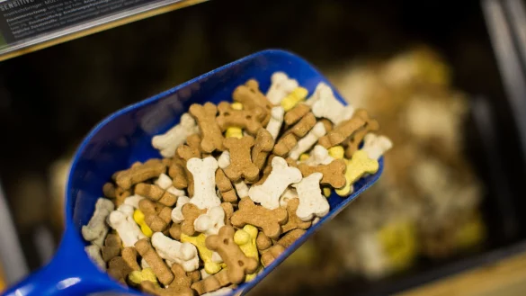 Die Hersteller von Tierfutter waren in den vergangenen Jahren ebenfalls mit steigenden Kosten konfrontiert. - © Rolf Vennenbernd / dpa