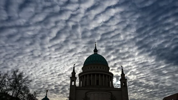 Zum Wochenbeginn wird es im Land verbreitet wärmer. - © Jens Kalaene/dpa