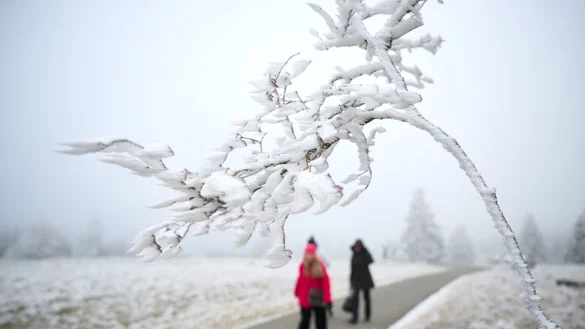 Schnee zu Weihnachten wird es nur vereinzelt geben. - &copy; Bernd Thissen/dpa