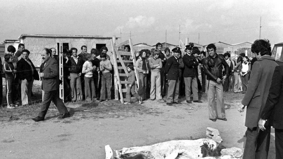 Der Mord an dem Regisseur Pier Paolo Pasolini besch&auml;ftigt Italien auch noch nach 50 Jahren. (Archivbild) - &copy; epa ansa/epa ansa files/dpa