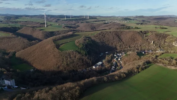 Die Leiche wurde in einem Waldstück bei Monreal entdeckt. (Archivbild) - © Sascha Ditscher/dpa