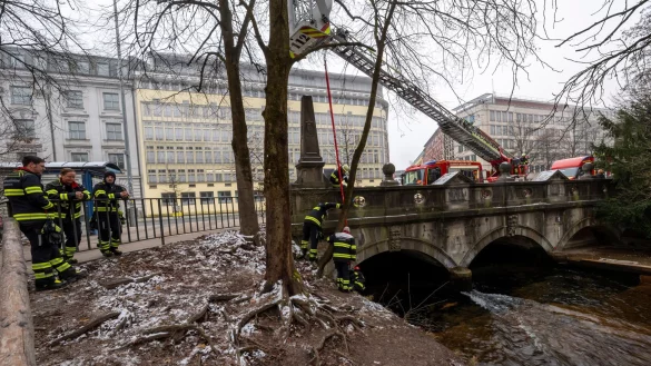 Ein Kran baut die Rampe ab. - &copy; Peter Kneffel/dpa