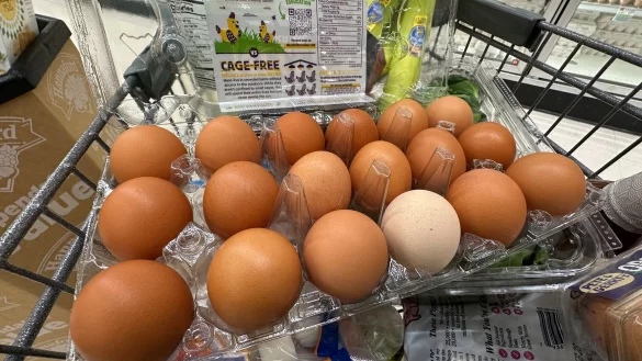 Der Shutdown in den USA macht sich auch bei den Lebensmitteln bemerkbar. - &copy; Robert F. Bukaty/AP/dpa