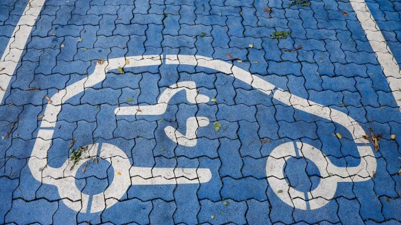 Bei Elektroautos haben deutsche Hersteller und ihre Töchter den Heimatmarkt fest im Griff. (Symbolbild) - © Jan Woitas/dpa