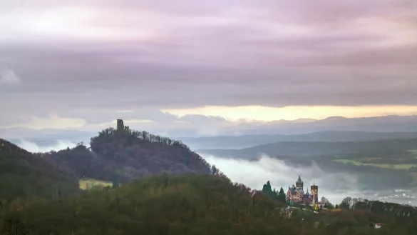 In Königswinter entsteht ein neues Ausflugsziel für kleine und große Dino-Fans. (Archivfoto) - © Thomas Banneyer/dpa