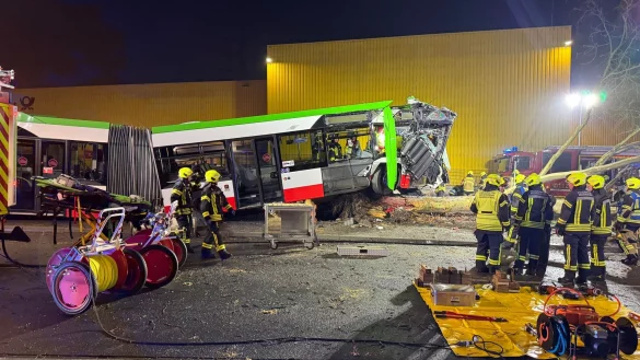 Warum der Linienbus von der Stra&szlig;e abkam, war zun&auml;chst unklar. - &copy; Justin Brosch/dpa
