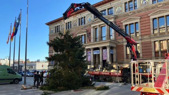 Pannen mit Weihnachtsb&auml;umen sind in Berlin keine Seltenheit. - &copy; Stefan Kruse/-/dpa