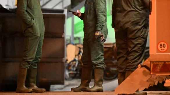 Nach dem Ausbruch der Vogelgrippe in Baden-Württemberg müssen in einem Geflügelbetrieb im Alb-Donau-Kreis südöstlich von Stuttgart rund 15.000 Tiere getötet werden. - © -/onw-images/dpa