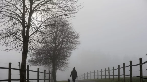 Das trübe Wetter setzt sich fort. (Archivbild) - © Thomas Warnack/dpa