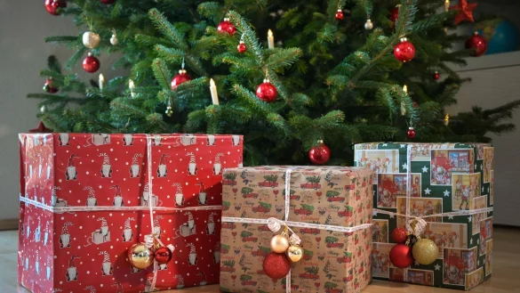 Das Patentamt appelliert: Keine Produktfälschungen verschenken. (Symbolbild) - © Heiko Rebsch/dpa