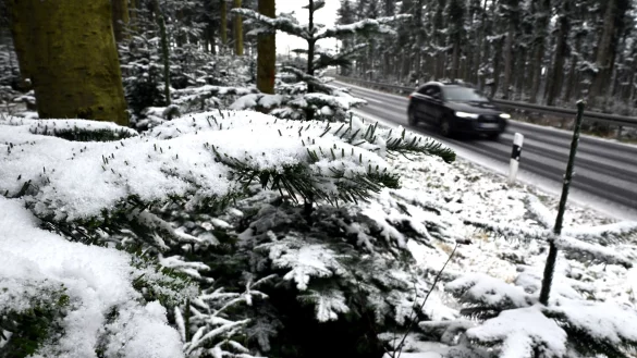 Nicht nur im Sauerland fielen zu Wochenbeginn erste Schneeflocken. - &copy; Federico Gambarini/dpa