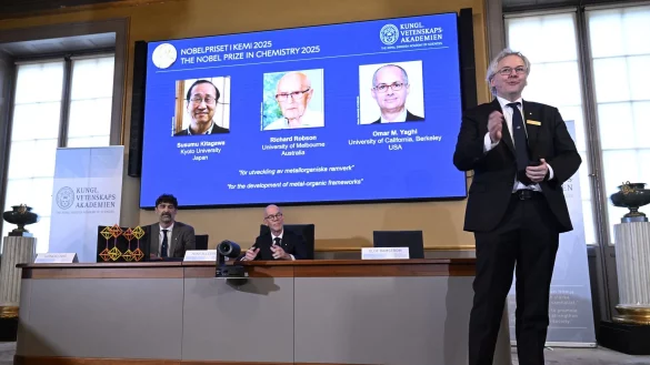 Mit ihrer Forscher legten die Chemiker die Basis für viele mögliche Problemlösungen. - © Fredrik Sandberg/TT News Agency/AP/dpa