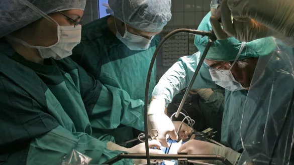 In Deutschland warten über 8.000 Menschen auf eine Organspende, vielfach schon seit Jahren. - © Jan-Peter Kasper/dpa-Zentralbild/dpa