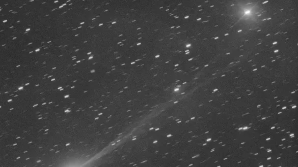 Es handelt sich um einen seltenen interstellaren Kometen. - &copy; Gianluca Masi/AP/dpa