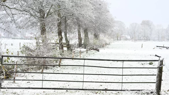 Weiteren Schnee sagt der Deutsche Wetterdienst fr&uuml;hestens am Sonntag vorher. - &copy; Lars Penning/dpa