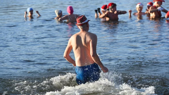 Nicht nur an Weihnachten und Neujahr baden die Berliner Seehunde bei eiskalten Temperaturen im Berliner Orankesee. - &copy; Paul Zinken/dpa