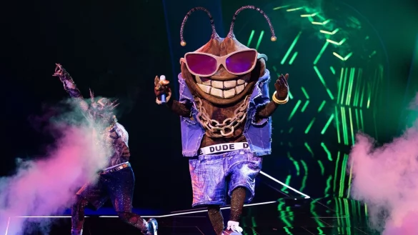 Die Stinkwanze «Dude» ist bei der ProSieben-Show «The Masked Singer» raus. (Archivbild) - © Rolf Vennenbernd/dpa