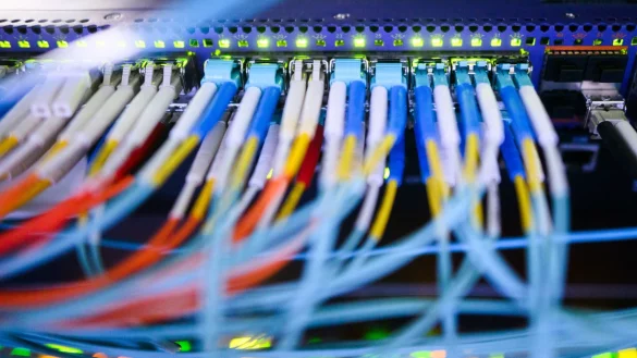 Was würde passieren, wenn von der AfD eingesetzte Beamte auf sicherheitsrelevante Daten zugreifen könnten, fragen sich Innenpolitiker anderer Parteien. (Symbolbild) - © Julian Stratenschulte/dpa