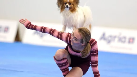 Zum Repertoire geh&ouml;ren zahlreiche Kunstst&uuml;cke. - &copy; Bernd Thissen/dpa