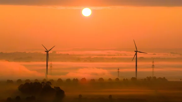 Die OECD fordert mehr Tempo beim Klimaschutz. (Archivbild) - &copy; Julian Stratenschulte/dpa