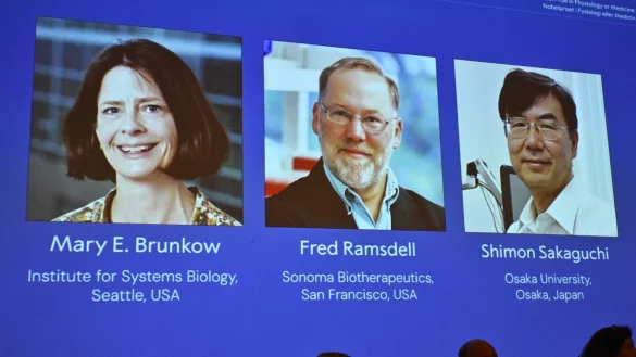 Die Medizin-Nobelpreisträger stehen fest. - © Claudio Bresciani/TT News Agency/AP/dpa