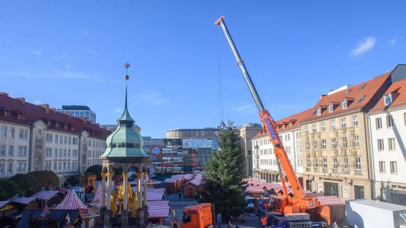 Schon seit Ende Oktober stehen die ersten Buden auf dem Alten Markt vor dem Magdeburger Rathaus. (Archivbild) - &copy; Klaus-Dietmar Gabbert/dpa