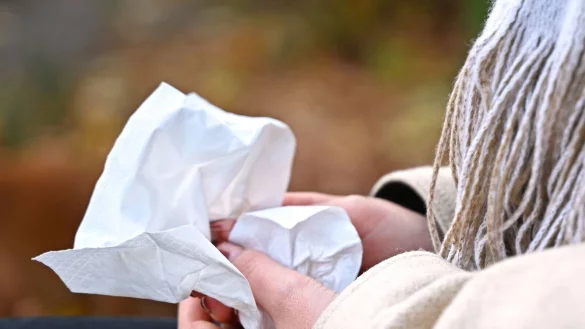 Jetzt brauchen viele Menschen wieder Taschentücher für die laufende Nase. (Symbolbild) - © Elisa Schu/dpa