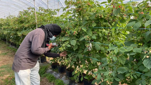 Die befreiten Migranten wurden laut Polizei oft geschlagen. - © -/Portugiesische Kriminalpolizei Polícia Judiciária PJ/dpa