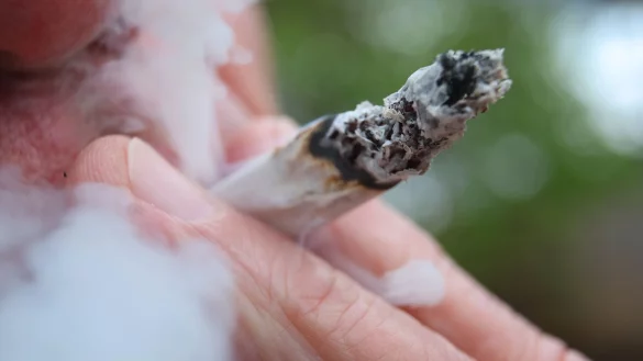 Laut Studie rauchte eine gro&szlig;e Mehrheit der Cannabis-Konsumenten Joints. (Symbolbild) - &copy; Karl-Josef Hildenbrand/dpa