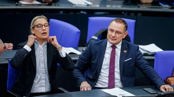 Die Gespräche von Alice Weidel, Co-Fraktionsvorsitzende und Co-Parteichefin der AfD, mit Unternehmern finden nach Angaben ihres Sprechers bislang meist im vertraulichen Rahmen statt. - © Kay Nietfeld/dpa