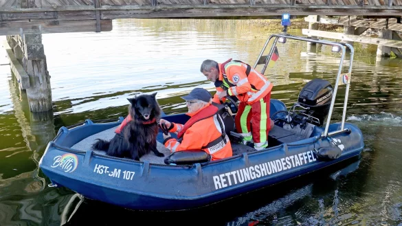 Leichensuchhunde haben laut Polizei auf dem Inselsee am Stadtrand von Güstrow angeschlagen. Nun sollen Taucher klären, ob der seit Freitag verschwundene Achtjährige möglicherweise am Grund des Sees liegt. - © Bernd Wüstneck/dpa