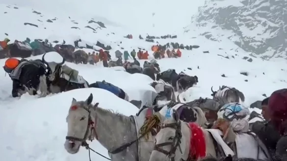 Dorfbewohner stiegen mit Pferden und Ochsen auf den Mount Everest, um zu den Wanderern zu gelangen. (Archivbild) - &copy; Lingsuiye/Xinhua/dpa
