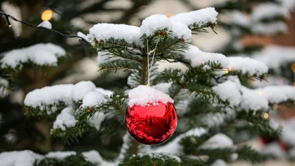 Verschneite D&auml;cher und B&auml;ume sind wohl auch diese Weihnachten nicht oft in Deutschland zu sehen. (Symbolbild) - &copy; Jan Woitas/dpa